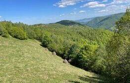 Intravilan de vânzare în Satul Plopi, se poate parcela Comuna Valea Ierii !