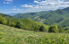 Intravilan de vânzare în Satul Plopi, se poate parcela Comuna Valea Ierii !