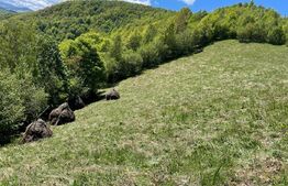 Intravilan de vânzare în Satul Plopi, se poate parcela Comuna Valea Ierii !