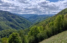 Intravilan de vânzare în Satul Plopi, se poate parcela Comuna Valea Ierii !