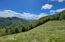 Intravilan de vânzare în Satul Plopi, se poate parcela Comuna Valea Ierii !