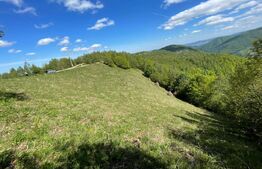 Intravilan de vânzare în Satul Plopi, se poate parcela Comuna Valea Ierii !