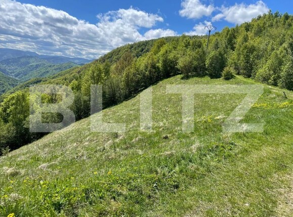 Teren de vânzare Valea Ierii - 150809TV | BLITZ Cluj-Napoca | Poza2