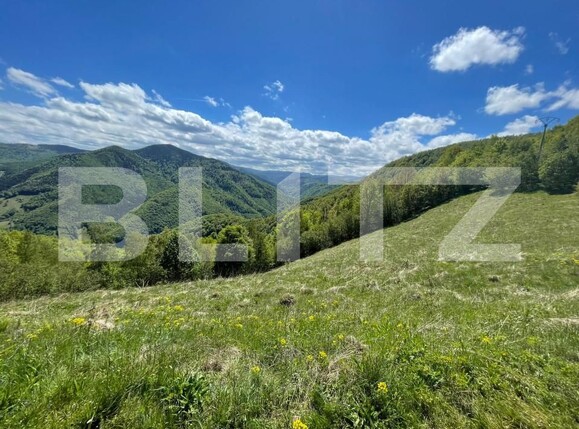 Teren de vânzare Valea Ierii - 150809TV | BLITZ Cluj-Napoca | Poza1