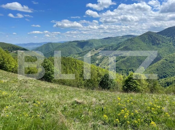 Teren de vânzare Valea Ierii - 150809TV | BLITZ Cluj-Napoca | Poza9