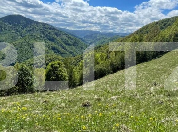 Teren de vânzare Valea Ierii - 150809TV | BLITZ Cluj-Napoca | Poza5