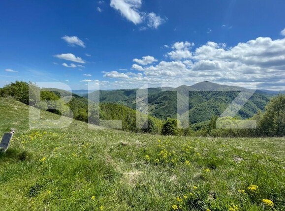 Teren de vânzare Valea Ierii - 150809TV | BLITZ Cluj-Napoca | Poza6