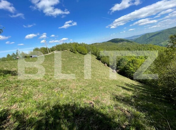 Teren de vânzare Valea Ierii - 150809TV | BLITZ Cluj-Napoca | Poza11