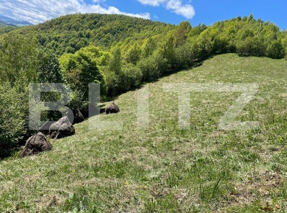 Teren de vânzare Valea Ierii - 150809TV | BLITZ Cluj-Napoca | Poza8