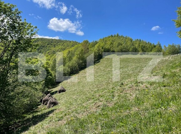 Teren de vânzare Valea Ierii - 150809TV | BLITZ Cluj-Napoca | Poza4