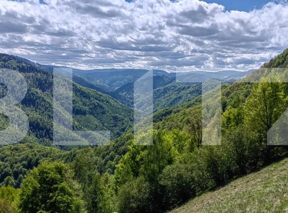 Teren de vânzare Valea Ierii - 150809TV | BLITZ Cluj-Napoca | Poza7