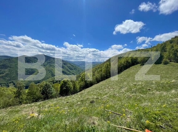 Teren de vânzare Valea Ierii - 150809TV | BLITZ Cluj-Napoca | Poza10