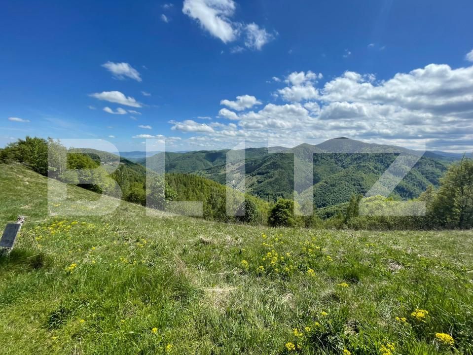 Teren de vânzare Valea Ierii - 150809TV | BLITZ Cluj-Napoca | Poza6