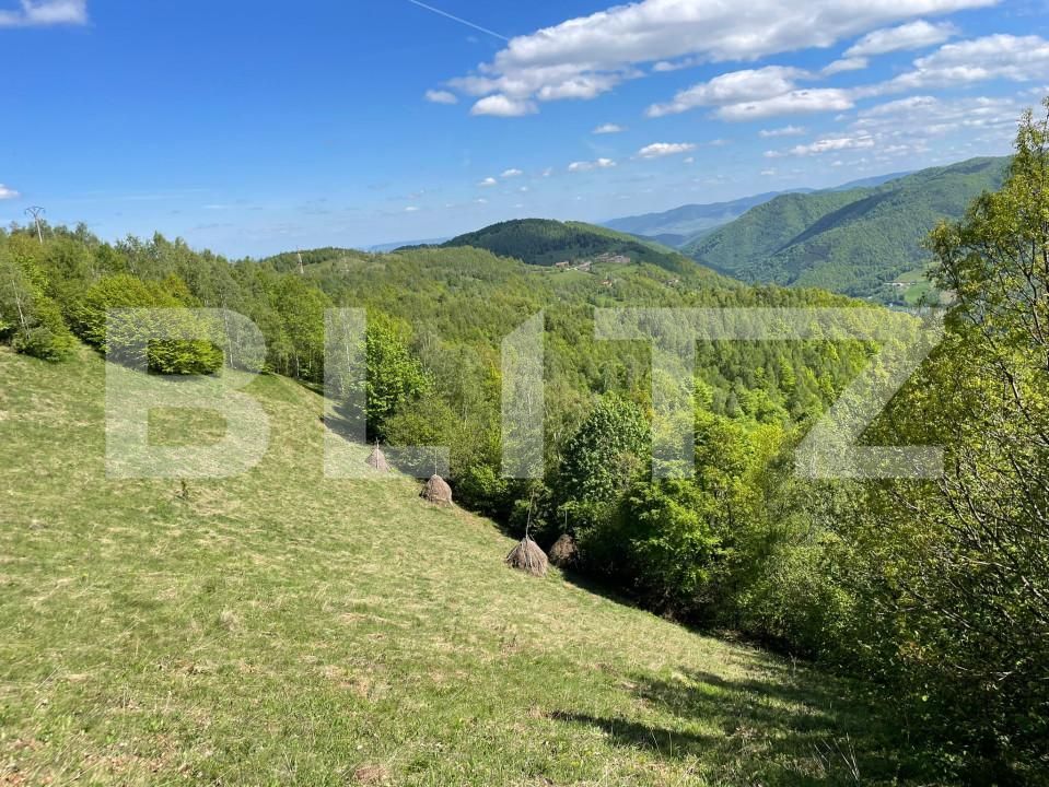 Teren de vânzare Valea Ierii - 150809TV | BLITZ Cluj-Napoca | Poza3