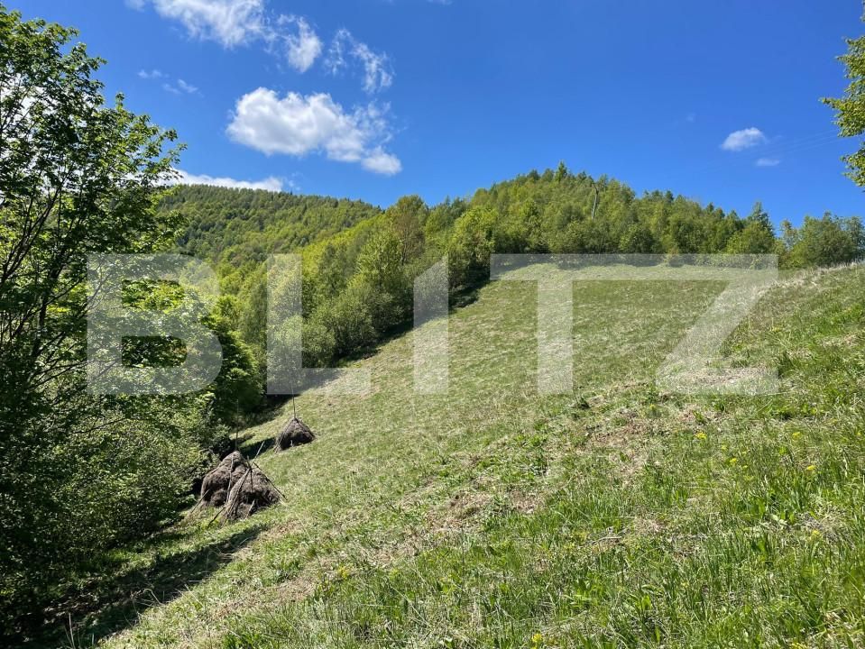 Teren de vânzare Valea Ierii - 150809TV | BLITZ Cluj-Napoca | Poza4