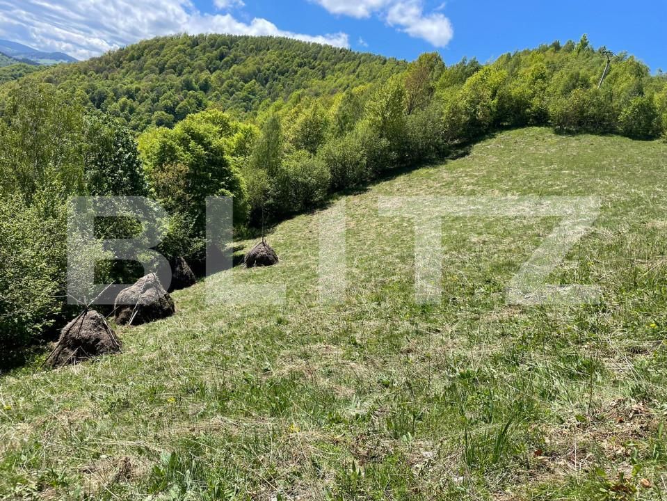 Teren de vânzare Valea Ierii - 150809TV | BLITZ Cluj-Napoca | Poza8