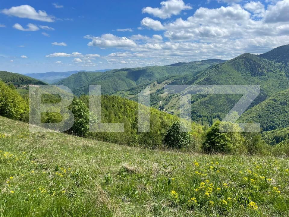 Teren de vânzare Valea Ierii - 150809TV | BLITZ Cluj-Napoca | Poza9