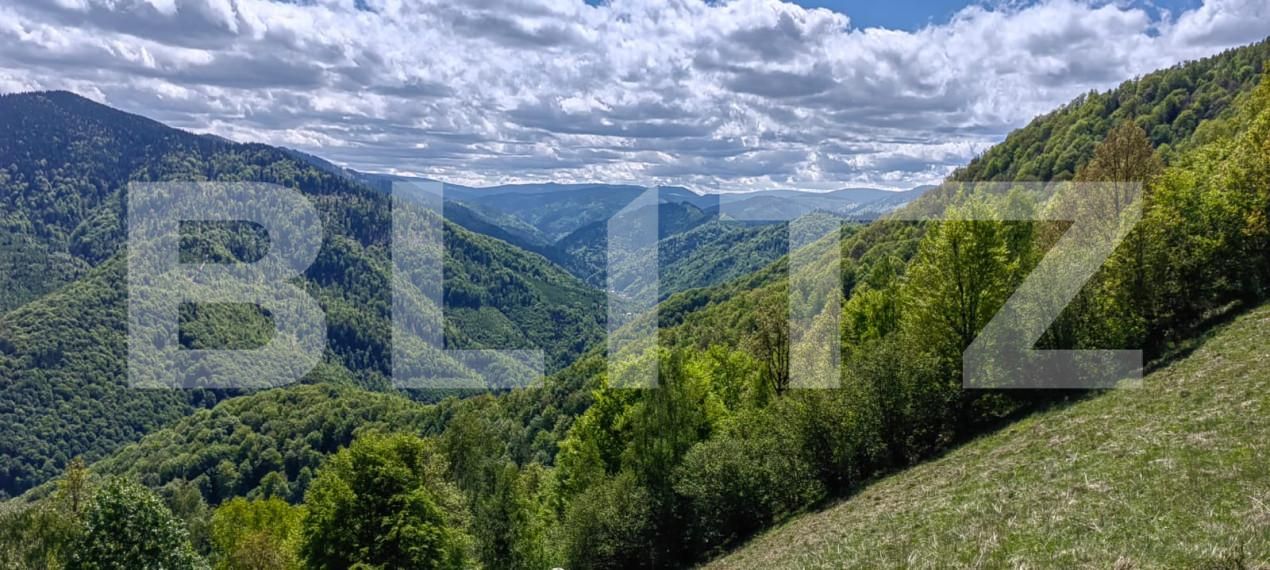 Teren de vânzare Valea Ierii - 150809TV | BLITZ Cluj-Napoca | Poza7