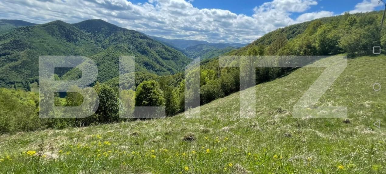 Teren de vânzare Valea Ierii - 150809TV | BLITZ Cluj-Napoca | Poza5