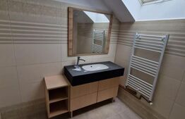 Casa de inchiriat pe doua Nivele, birou sau locuinta. Zona Centrala Platinia !