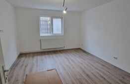 Casa de inchiriat pe doua Nivele, birou sau locuinta. Zona Centrala Platinia !