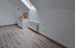 Casa de inchiriat pe doua Nivele, birou sau locuinta. Zona Centrala Platinia !