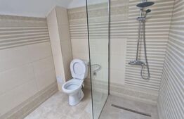 Casa de inchiriat pe doua Nivele, birou sau locuinta. Zona Centrala Platinia !