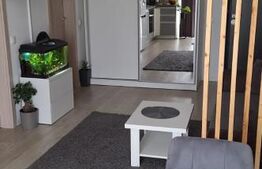 Apartament 2 camere, etaj intermediar, la cheie, Beta Residence
