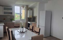 Apartament 3 camere, 100mp, etaj 2 al unei vile cu parcare in curte, zona Gruia 