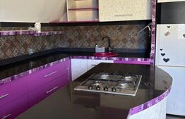 Casa individuala 5 camere, 200 mp, 400 mp curte, pet friendly,  Partia Feleacu
