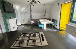 Casa individuala 5 camere, 200 mp, 400 mp curte, pet friendly,  Partia Feleacu
