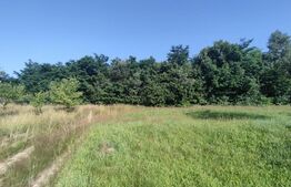 Teren, 1200 mp, toate utilitățile, Feleacu