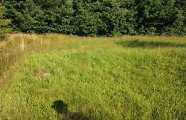 Teren, 1200 mp, toate utilitățile, Feleacu