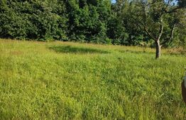 Teren, 1200 mp, toate utilitățile, Feleacu