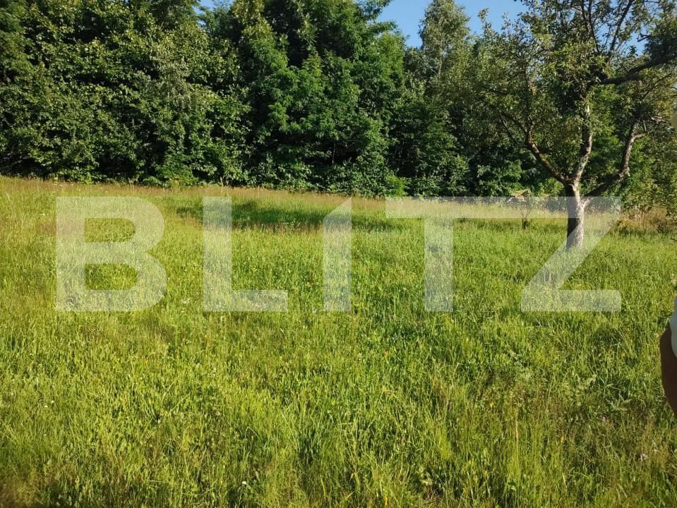 Teren de vânzare Feleacu - 150888TV | BLITZ Cluj-Napoca | Poza3