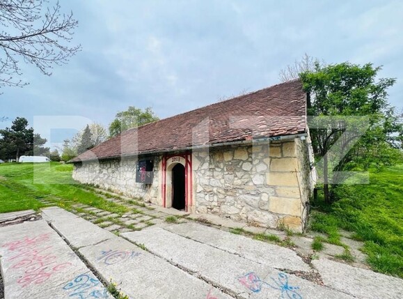 Spațiu comercial de închiriat Gruia - 150890SIC | BLITZ Cluj-Napoca | Poza2