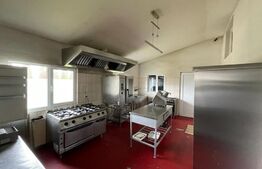 Restaurant de vanzare, clientela formata, Valea Draganului