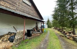 Restaurant de vanzare, clientela formata, Valea Draganului