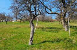 Oportunitate ! Teren intravilan construibil, 1575 mp, Feleacu !