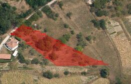 Oportunitate ! Teren intravilan construibil, 1575 mp, Feleacu !