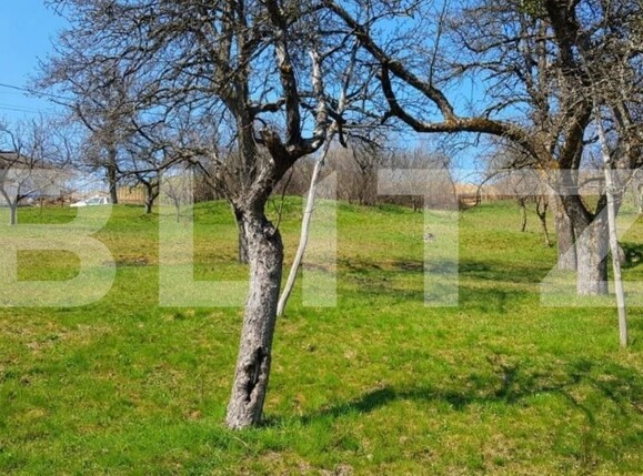 Teren de vânzare Exterior Sud - 150893TV | BLITZ Cluj-Napoca | Poza1