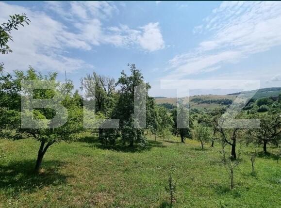 Teren de vânzare Exterior Sud - 150893TV | BLITZ Cluj-Napoca | Poza3