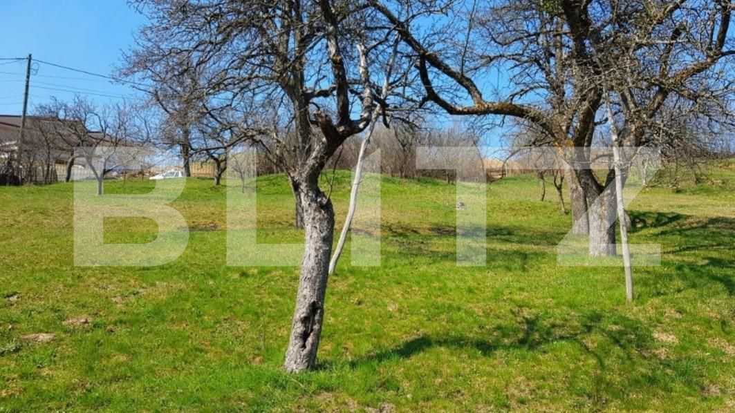 Teren de vânzare Exterior Sud - 150893TV | BLITZ Cluj-Napoca | Poza1