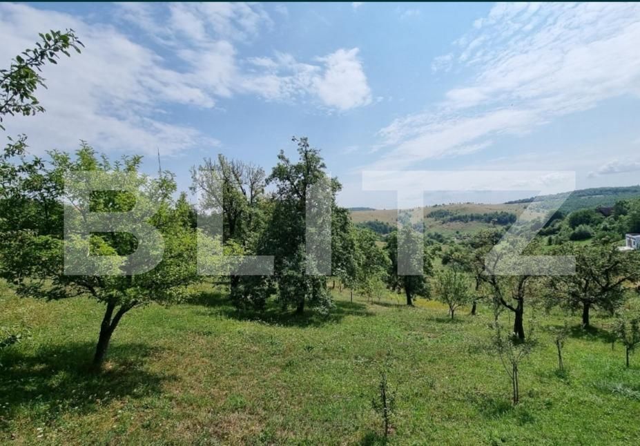 Teren de vânzare Exterior Sud - 150893TV | BLITZ Cluj-Napoca | Poza3