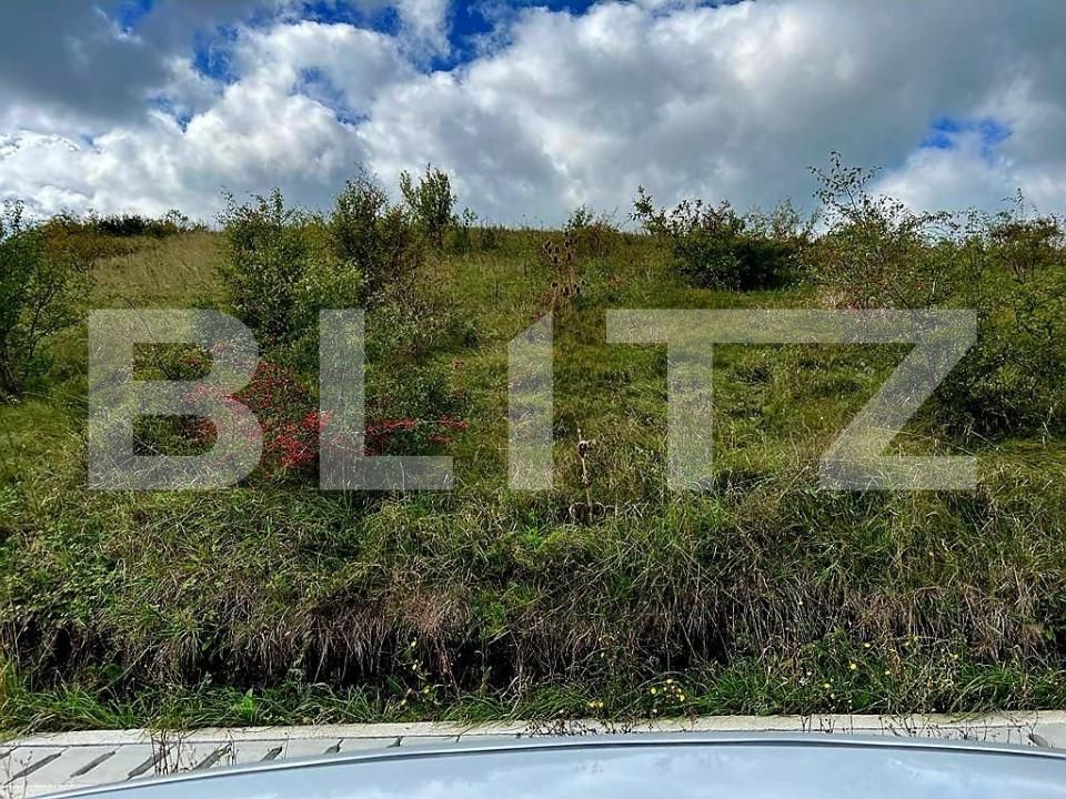 Teren de vânzare Chinteni - 150904TV | BLITZ Cluj-Napoca | Poza2