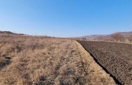 Teren intravilan, 6800 mp, Jucu