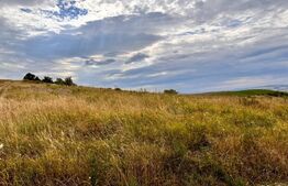 Teren 5800 mp, partial intravilan, Dezmir