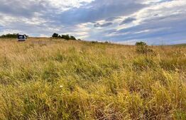 Teren 5800 mp, partial intravilan, Dezmir