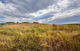 Teren 5800 mp, partial intravilan, Dezmir