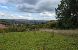 Teren intravilan construibil, 1196 mp, pentru o casa, in Cojocna!